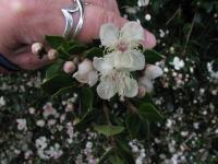 Albums/20060200-New Zealand 2006/20060212-south/25